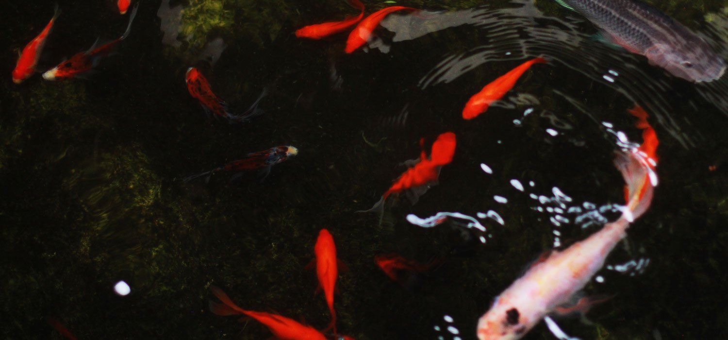 Tentang-Kami-Rumah-Nagan2